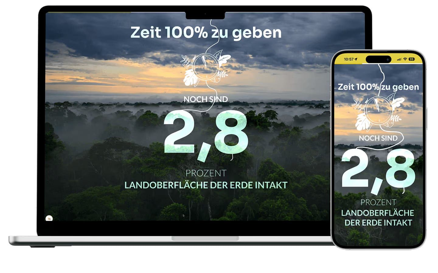 Web-Animationen für Landingpage