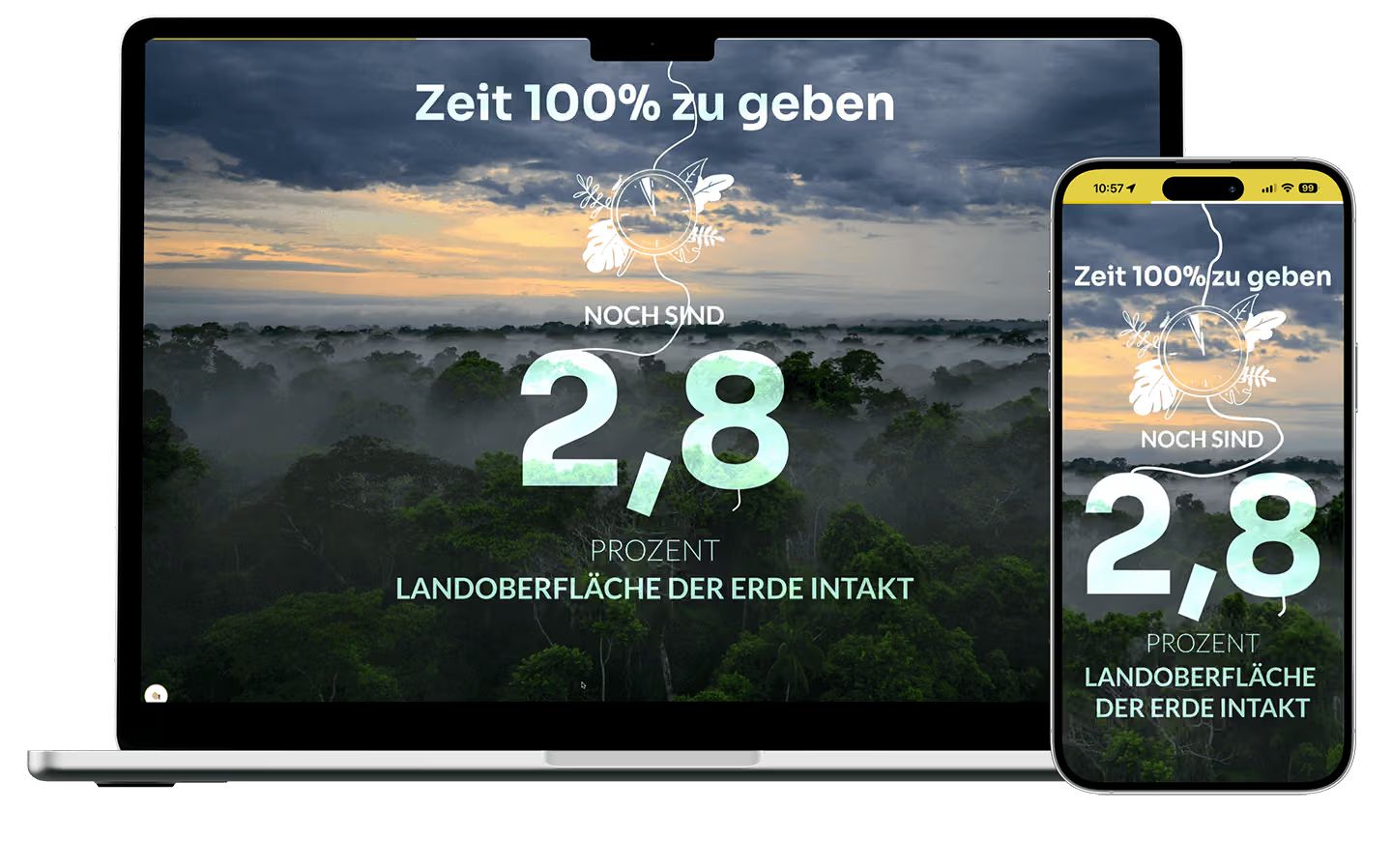 Web-Animationen für Landingpage