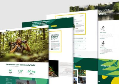 Relaunch Wilderness International